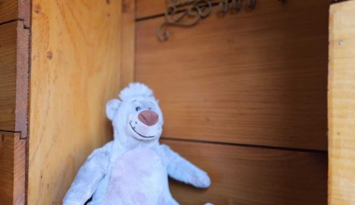 Basic Cottage, Ensuite (Baloo)