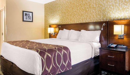 Standard Room, 1 King Bed, Non Smoking