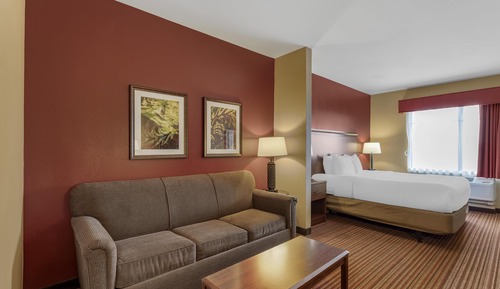 Suite, 1 King Bed, Non Smoking, Refrigerator & Microwave (Shower Only;with Sofabed)