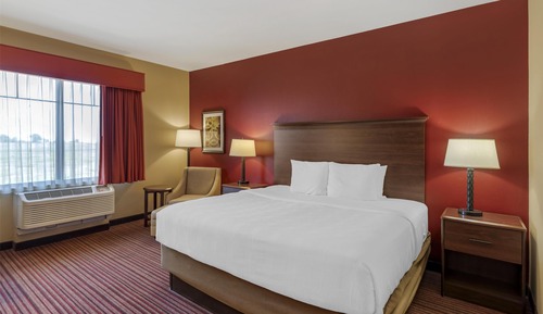 Standard Room, 1 King Bed, Non Smoking, Refrigerator & Microwave (Shower Only)