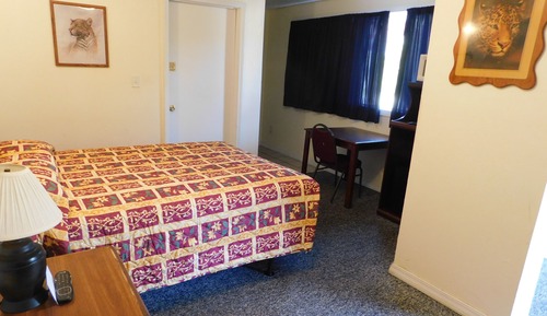 Single Room, 1 Queen Bed, Non Smoking, Pets Allowed