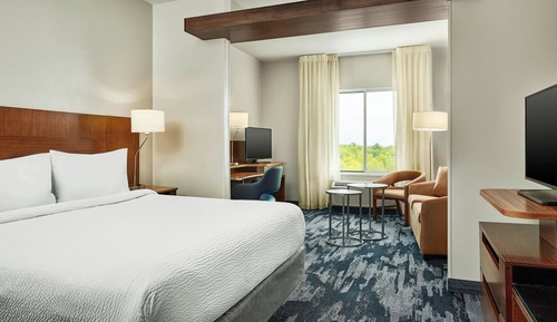Suite, 1 King Bed with Sofa bed