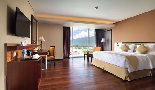 Deluxe Room, 1 Queen Bed, Smoking, City View