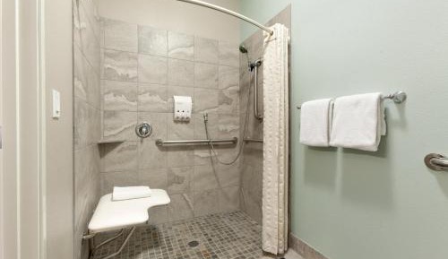 King Room with Roll-In Shower - Mobility Access