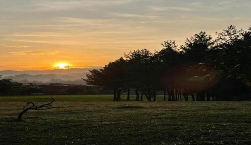 Villa with Garden View