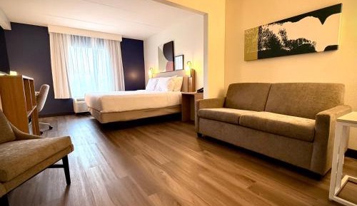 King Studio with Sofa Bed