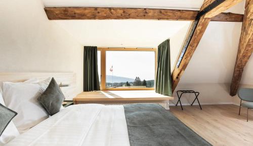 Superior Double Room with Lake and Alps View