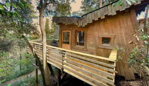 Triple Cabin - 2 Adults & 1 Child