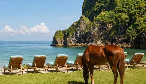 Eco Villas Beach Front