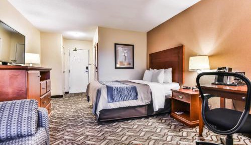 Queen Room - Ground Floor/Pet Friendly/Non-Smoking