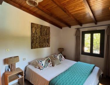 Suite with Pool View