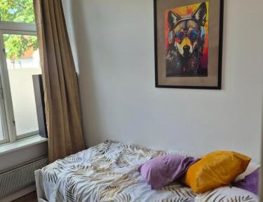 Duplex Studio