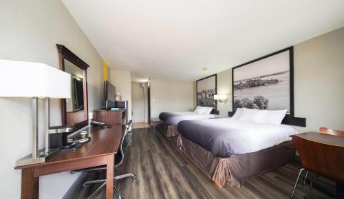 Queen Room with Two Queen Beds - Pet Friendly/Non-Smoking