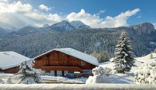 Apartment with Mountain View