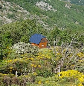 One-Bedroom Chalet