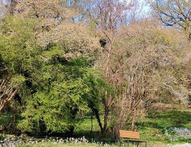 Double Room with Garden View