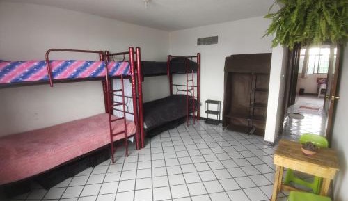 Bed in 4-Bed Mixed Dormitory Room
