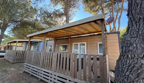 Mobile Home