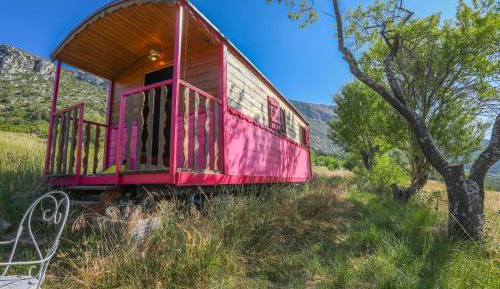 Mobile Home