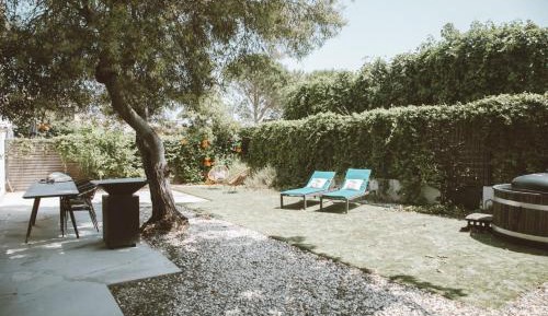 Studio with Terrace