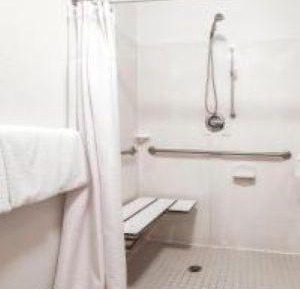 King Room with Roll-in Shower - Mobility Accessible