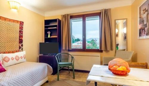 Superior Apartment with City View
