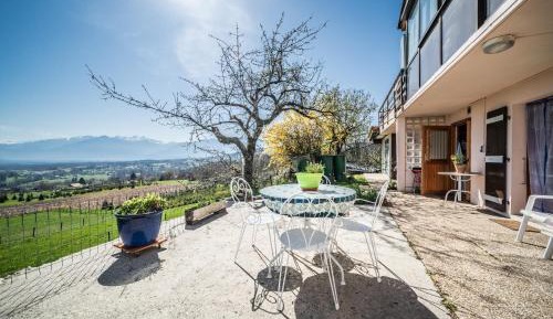 One-Bedroom Apartment with Garden View