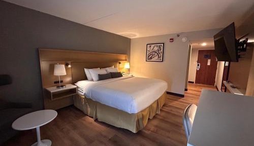 Standard King Room
