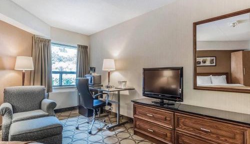 Deluxe King Room with Sofa Bed