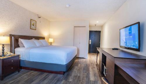 Standard King Room