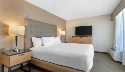 King Suite with Sofa Bed