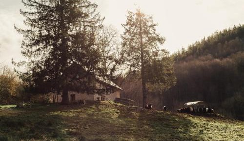 Three-Bedroom Chalet