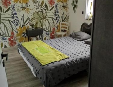 Double Room with Shared Bathroom