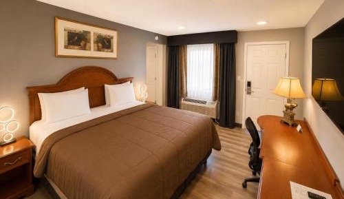 Superior King Suite
