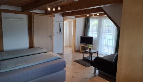 Double Room with Mountain View