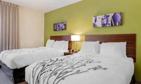Quadruple Room with Two Queen Beds - Disability Access/Non Smoking