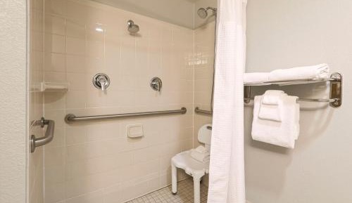 King Room with Roll-In Shower and Sofa Bed - Mobility Access/Hearing Accessible
