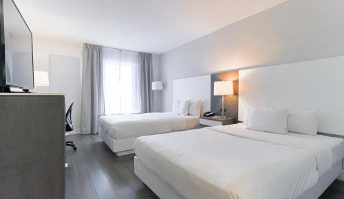 Superior Queen Room