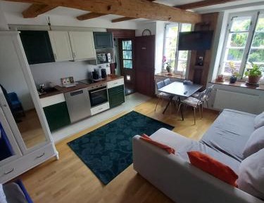 Studio with Garden View
