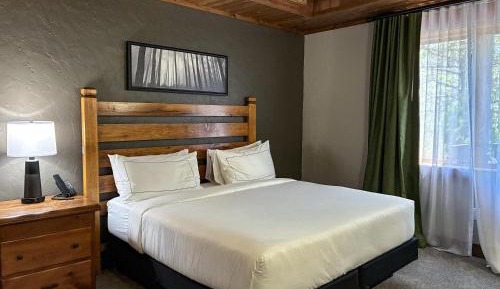 One-Bedroom Room with One King Bed and Balcony