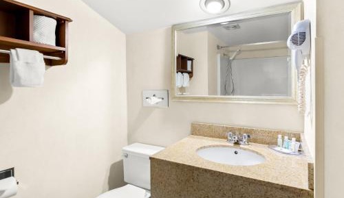 Efficiency King Suite - Non Smoking