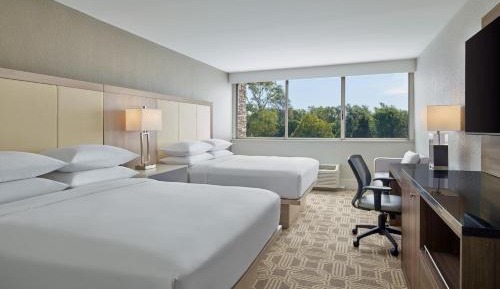 Guest room, 2 Queen