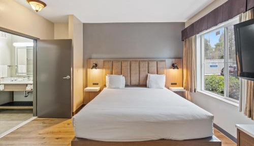 King Suite with Sofa Bed and Kitchen - Non-Smoking
