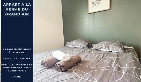 Two-Bedroom Standard Apartment