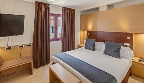 Premium Double Room