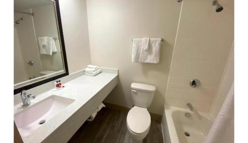 1 King Bed | Suite, Non-Smoking, Sofa-Bed