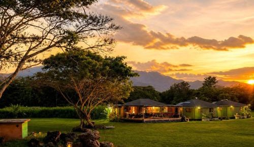 One-Bedroom House