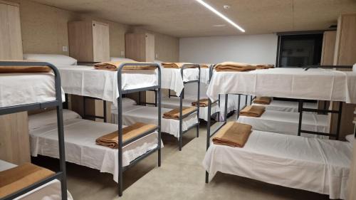 Single Bed in Mixed Dormitory Room