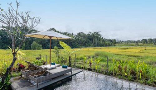 One-Bedroom Villa with Rice Field View