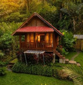 King Room with Garden View